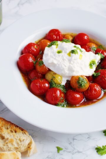 bagte tomater burrata